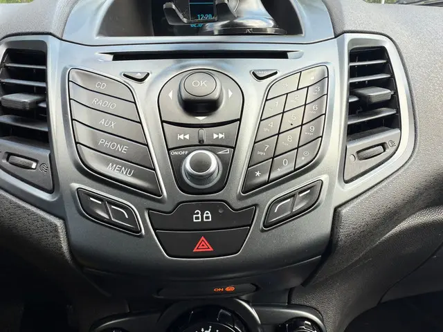 Ford Fiesta 1.25/Airco/Elek. Ramen/Nap/Apk! 2014 Benzine 14