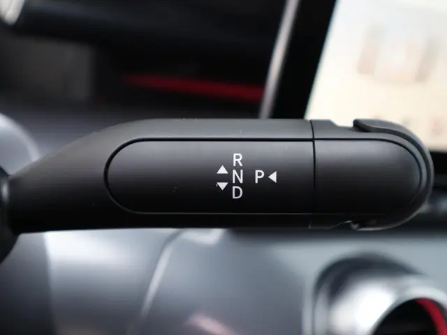 Smart #3 Premium 66 kWh 2025 Elektrisch 21