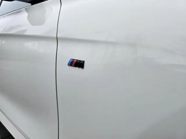 BMW 3 Serie Touring 318i M Sport Edition 2019 Benzine 24