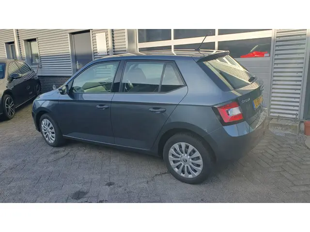 Škoda Fabia 1.2 TSI Monte Carlo 2017 Benzine 14