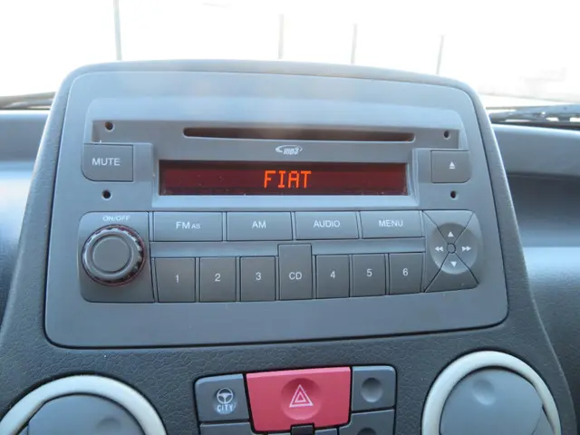 Fiat Panda 1.2 Edizione Cool 5 deurs airco 2011 Benzine 15
