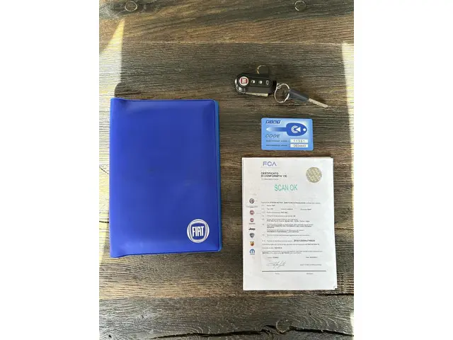 Fiat 500C 1.2 Lounge 2017 Benzine 24