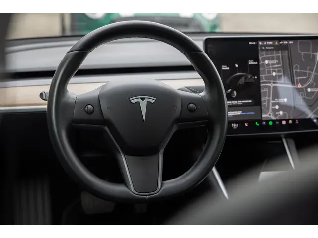 Tesla Model 3 Long Range AWD 75 kWh 2019 Elektrisch 47