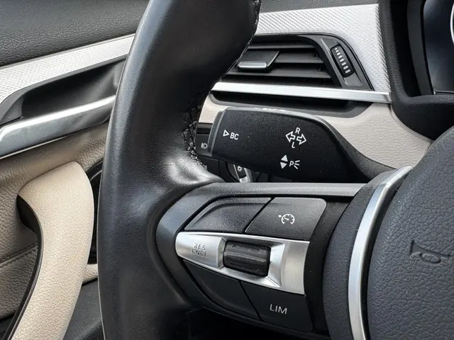 BMW X1 sDrive20i Executive 2018 Benzine 6
