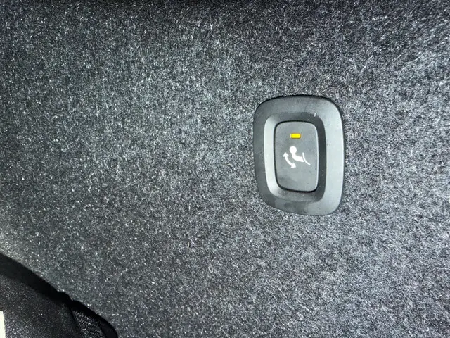 Volvo XC40 2.0 T4 R-Design | 2018 | 2018 Benzine 13