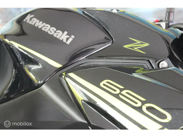 Kawasaki Z650 ABS 2020 Benzine 9