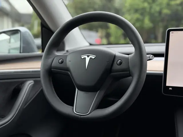 Tesla Model Y Long Range AWD Dual 2023 Elektrisch 20