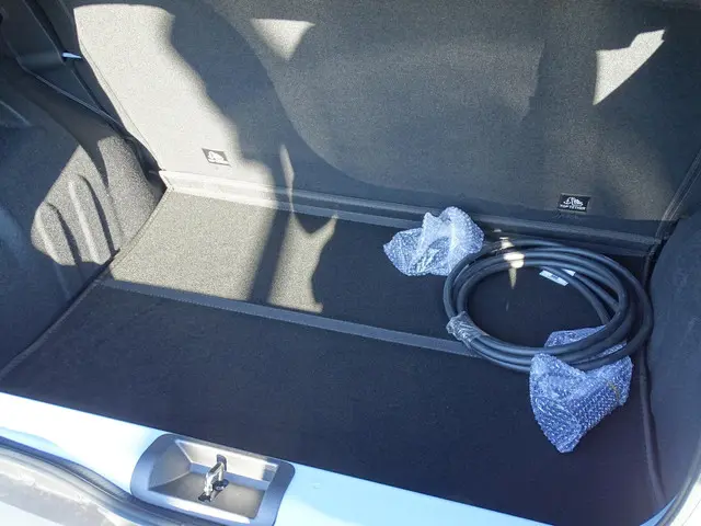 Dacia Spring Extreme 100 24.3 kWh 2026 Elektrisch 9