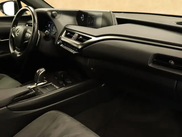 Lexus UX 300e Business 54 kWh 2020 Elektrisch 6