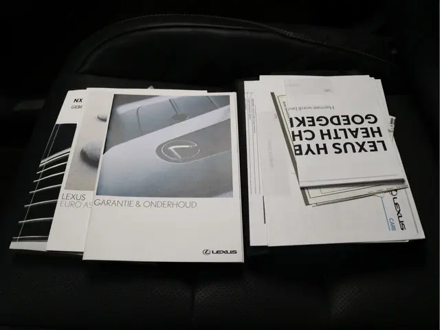 Lexus NX 300h AWD Luxury Line 2018 Hybride Benzine 25
