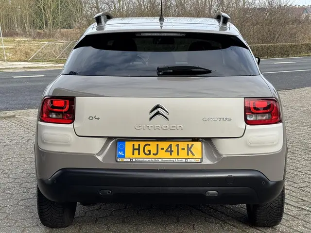 Citroën C4 Cactus 1.2 PureTech Business Plus 2015 Benzine 6