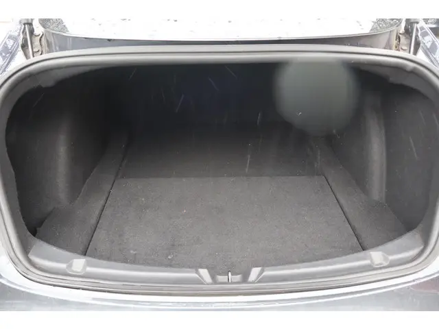 Tesla Model 3 Performance AWD 75 kWh 2019 Elektrisch 16