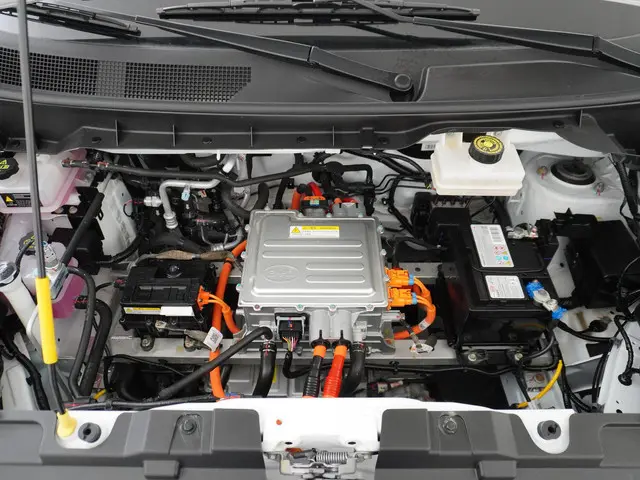 BYD ETP3 Standard 45 kWh 2023 Elektrisch 16