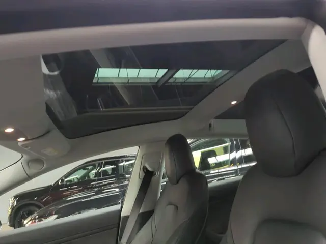 Tesla Model 3 Standard RWD Plus 60 kWh 2019 Elektrisch 8