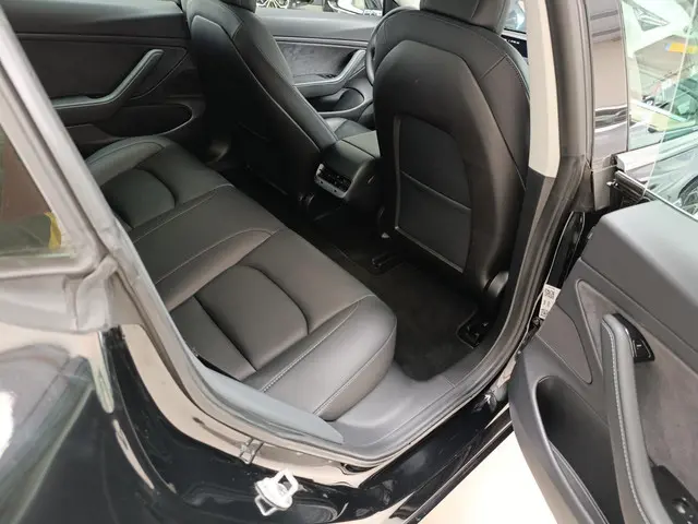 Tesla Model 3 Performance AWD 75 kWh 2020 Elektrisch 12
