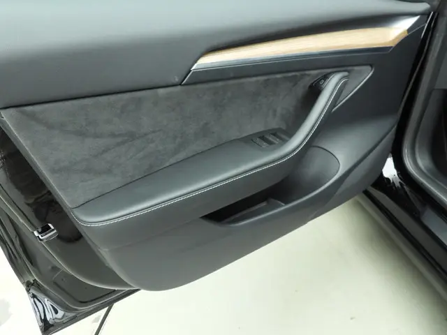 Tesla Model 3 Standard RWD Plus 60 kWh 2023 Elektrisch 20