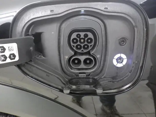 Ford Mustang Mach-E RWD 75 kWh 2021 Elektrisch 10