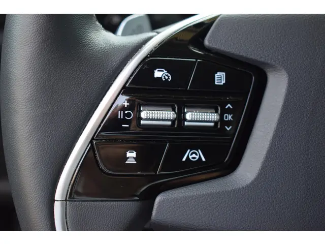 Kia Niro EV Edition Advanced 64.8 kWh 2024 Elektrisch 12