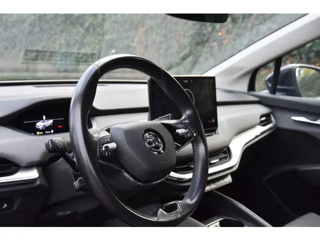 Škoda Enyaq iV 80 2021 Elektrisch 6