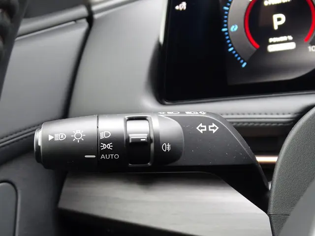 Nissan ARIYA Limited Edition 91 kWh 2026 Elektrisch 24