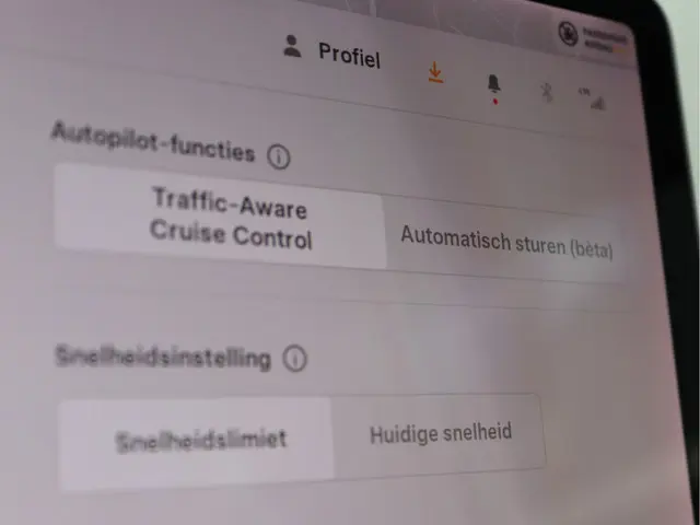 Tesla Model 3 Standard RWD Plus 60 kWh 2019 Elektrisch 38
