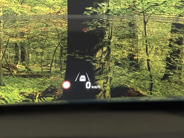 Hyundai Kona EV Comfort Smart 39 kWh 2021 Elektrisch 15