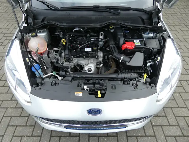 Ford Fiesta HELAAS VERKOCHT!!! 2017 Benzine 23