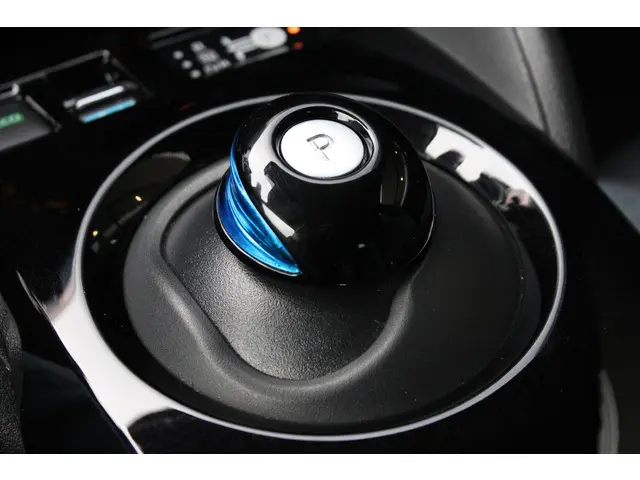 Nissan Leaf e+ Tekna 62 kWh 2020 Elektrisch 35