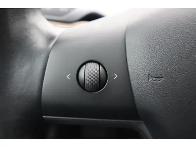 Tesla Model 3 Long Range AWD 75 kWh 2019 Elektrisch 23