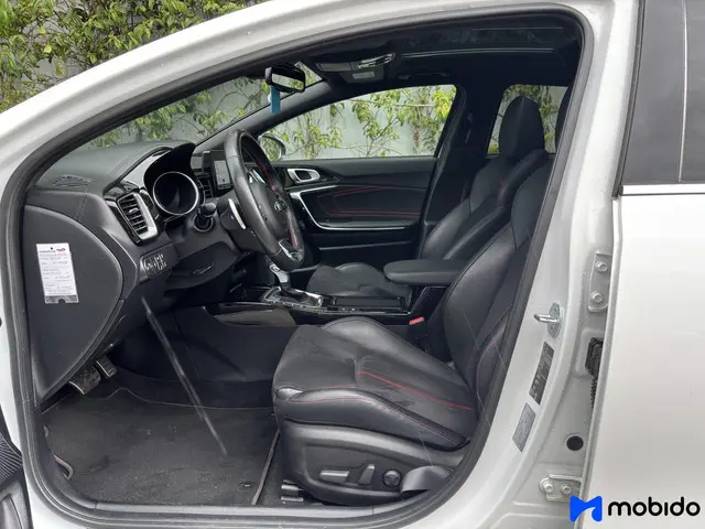 Kia ProCeed 1.6 T-GDI | GT | Camera | 2019 Benzine 5