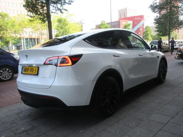 Tesla Model Y Long Range AWD 75 kWh 2022 Elektrisch 3