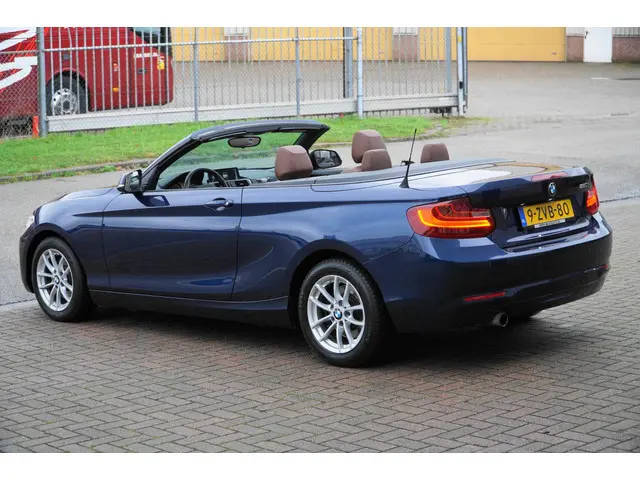 BMW 2 Serie Cabrio 220i EERSTE EIGENAAR 2015 Benzine 16