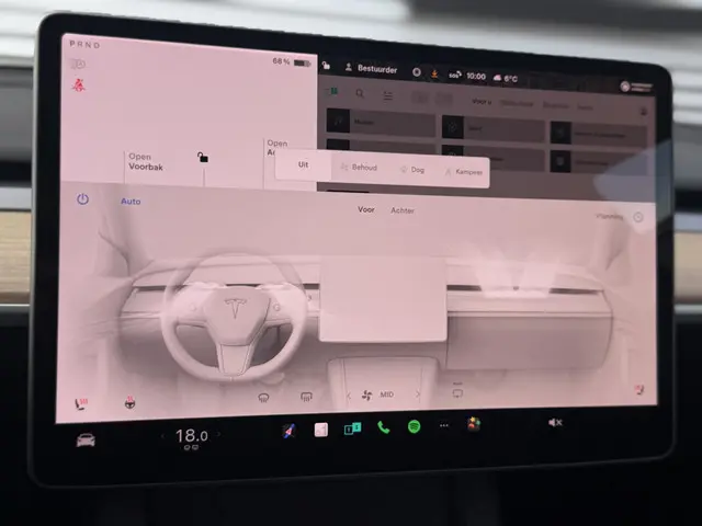 Tesla Model 3 Long Range AWD 75 kWh 2021 Elektrisch 19