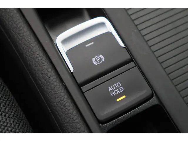 Volkswagen e-Golf E-DITION 2020 Elektrisch 48