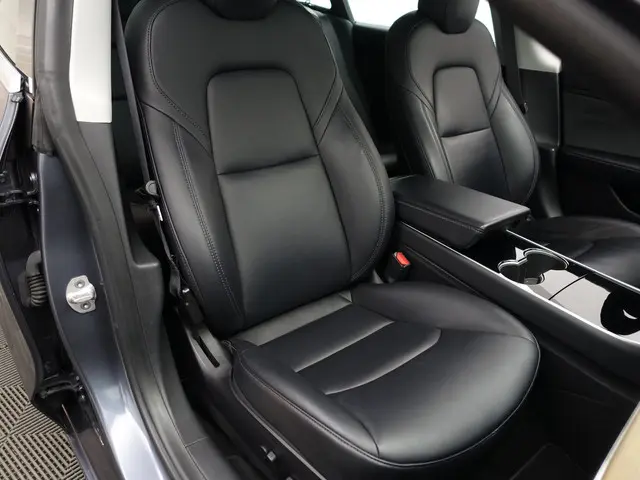 Tesla Model 3 Long Range AWD 75 kWh- 2019 Elektrisch 17