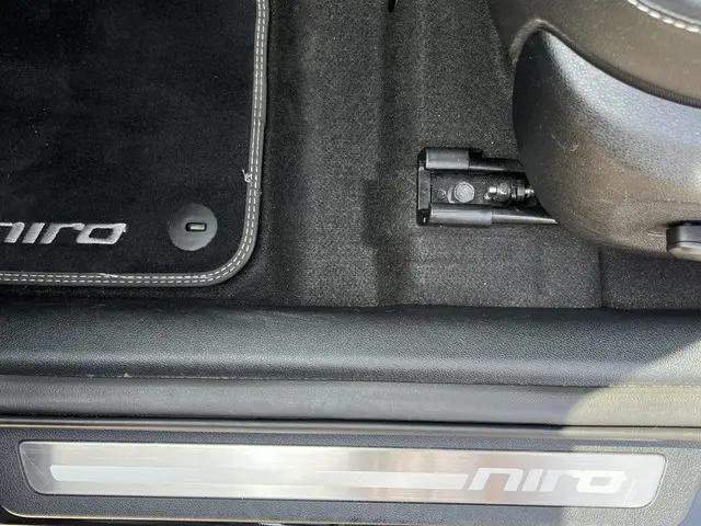 Kia e-Niro ExecutiveLine 64 kWh 2019 Elektrisch 20