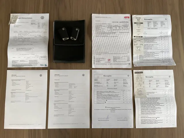 Volkswagen Polo 2.0 TSI GTI 200pk 2018 Benzine 30