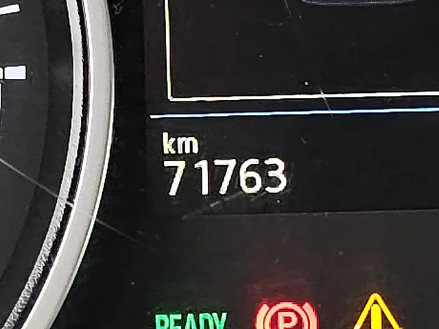 MAN TGE E-TGE 2020 Elektrisch 9