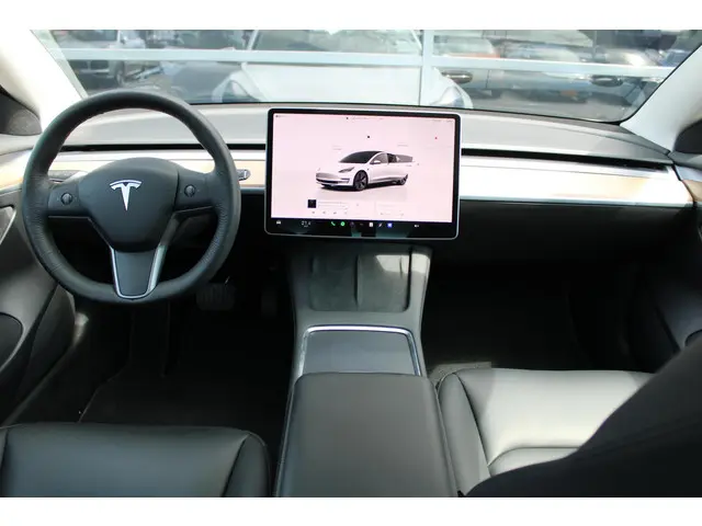 Tesla Model 3 Standard RWD Plus 60 kWh 2022 Elektrisch 4