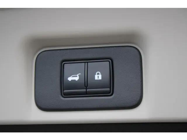 Nissan ARIYA e-4ORCE Evolve 87 kWh 2023 Elektrisch 46