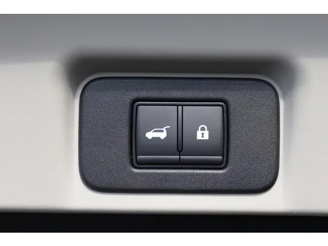 Nissan ARIYA Advance 91 kWh 2025 Elektrisch 10