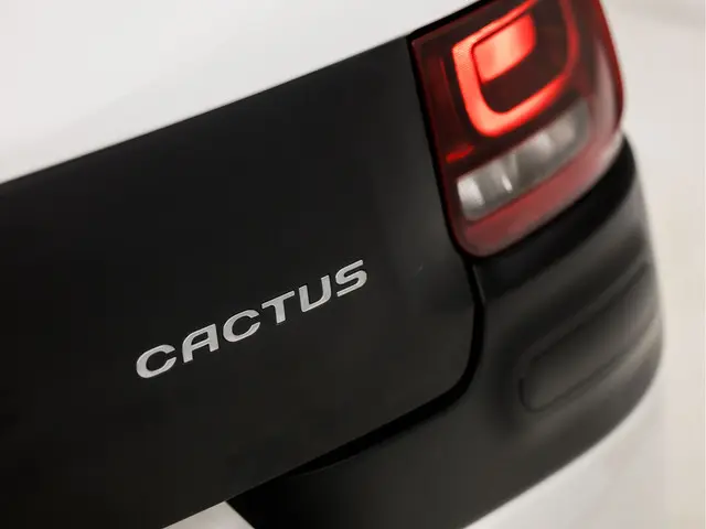Citroën C4 Cactus 1.2 PureTech Shine Sport 2016 Benzine 22