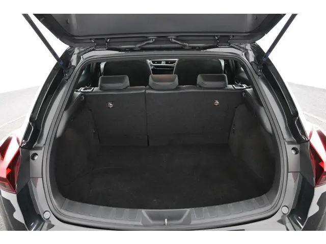 Lexus UX 300e Business 54 kWh 2020 Elektrisch 22