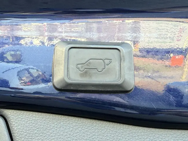 Toyota RAV4 2.5 Hybrid Executive 2020 Hybride Benzine 22