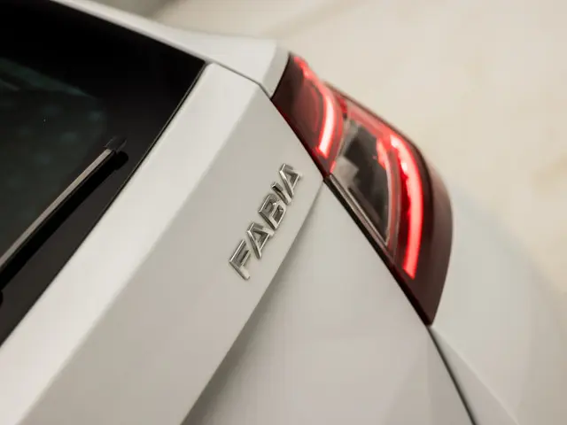 Škoda Fabia Combi 1.0 Luxury 2019 Benzine 28