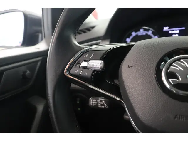 Škoda Fabia Combi 1.0 TSI Business Edition 2021 Benzine 24