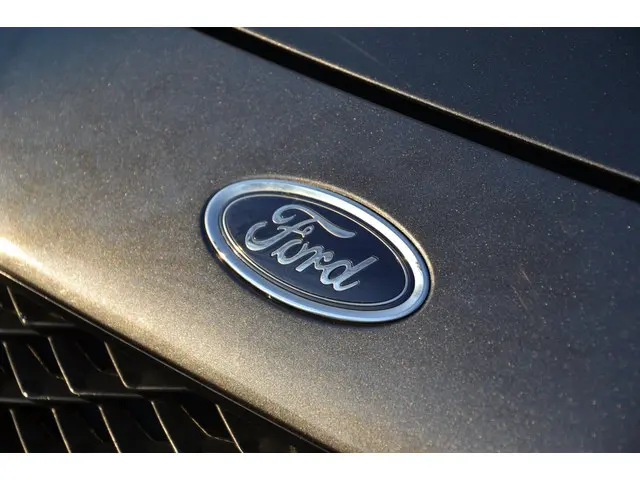 Ford Fiesta 1.0 EcoBoost Active 2019 Benzine 10