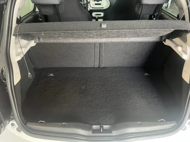 Smart Forfour zeer netjes 1.0 Joy Edition 2015 Benzine 10