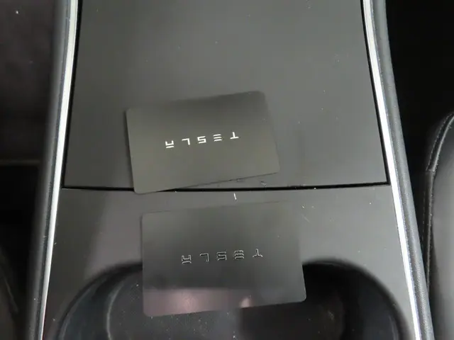 Tesla Model 3 Standard RWD Plus 60 kWh 2020 Elektrisch 10