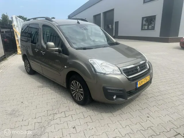 Peugeot Partner Tepee 1.6 BlueHDi Active 2016 Diesel 2